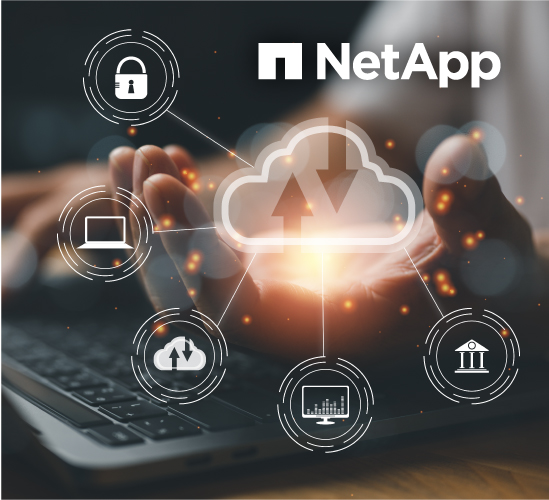 PUBSEC-519054 Newsletter_images_NetApp.jpg